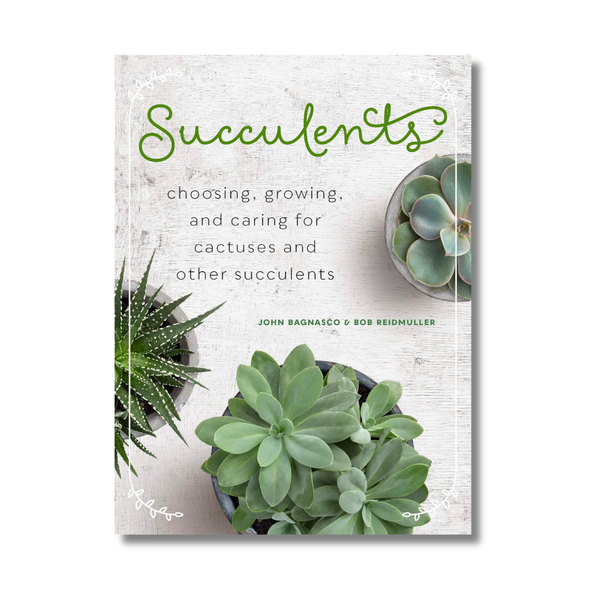 Succulents: Choosing, Growing, and Caring