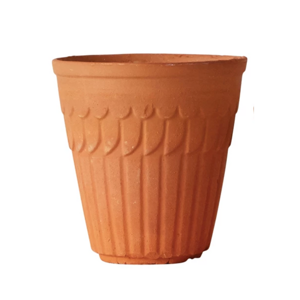 Rosemary Terracotta Planter